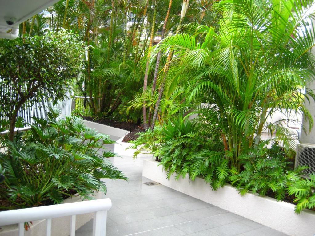 Costa D'Ora Holiday Apartments Gold Coast Esterno foto